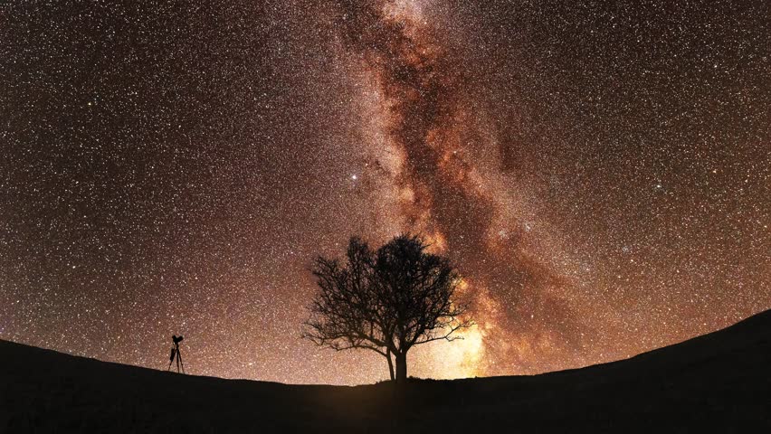 Night landscape, dry tree and camera on tripod in the filed under bright milky way galaxy time lapse.
