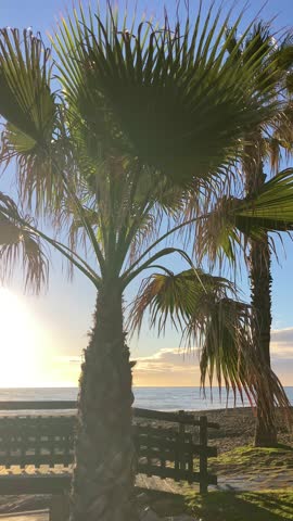 A golden sunrise illuminates the beach, creating a warm coastal morning scene in Torremolinos, Spain.