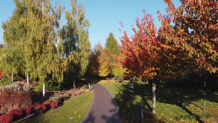 Different ornamental trees with bright multicolored autumn leaves growing in park at autumn sunny morning, aerial view while moving forward above the footpath with paving stones
