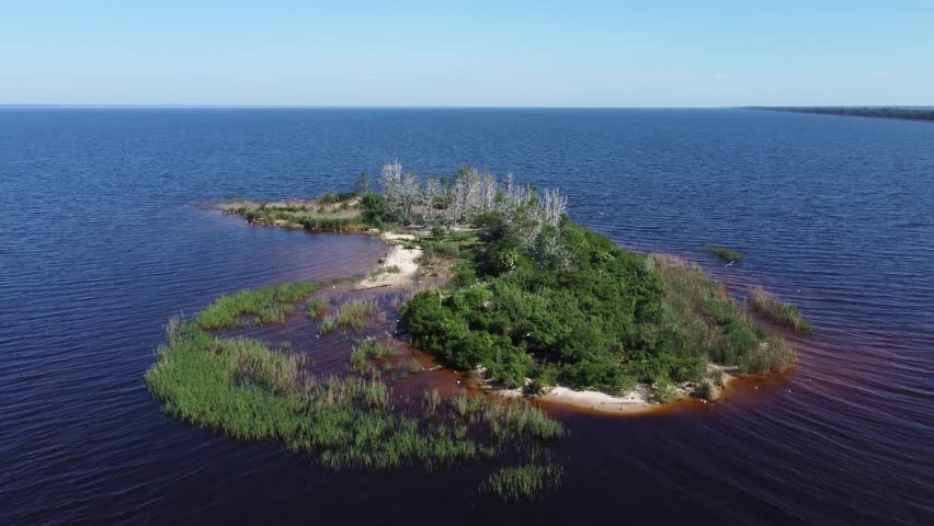 Small island overgrown with trees, shrubs and reeds in the middle of the big reservoir, nesting place of wild waterfowl, aerial view while moving forward over the tree tops
