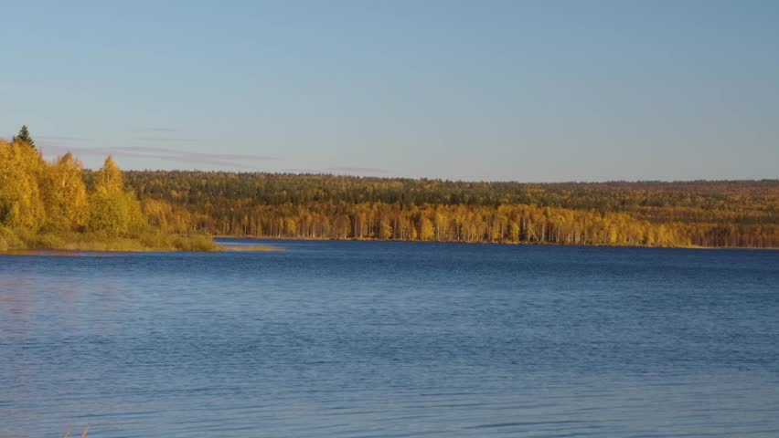A tranquil and scenic view of a large lake surrounded by a vibrant autumn forest with yellow and orange foliage under a clear blue sky. The serene natural landscape, captured in the Southern Urals reg
