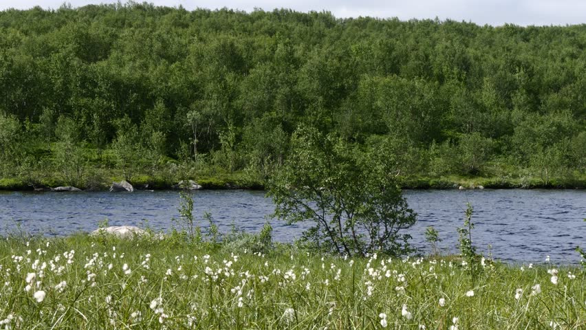 Landscape of the Lapland tundra on the Kola Peninsula.