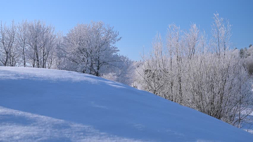 Winter snowy rural landscape, mountainous landscape, snow-covered trees, sunny day