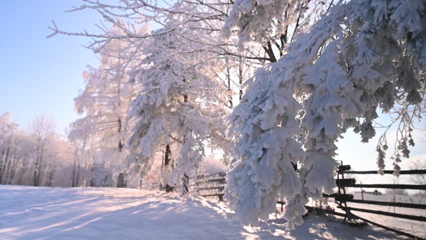 Winter snowy rural landscape, mountainous landscape, snow-covered trees, sunny day, wooden fence