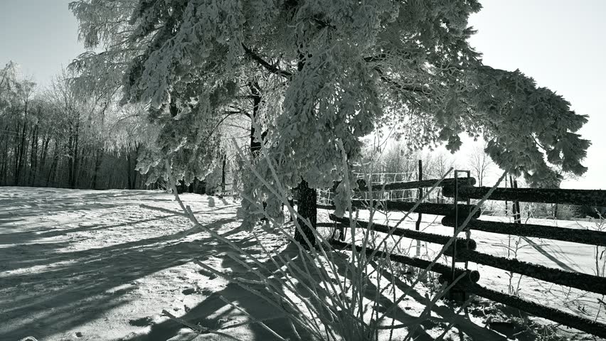 Winter snowy rural landscape, mountainous landscape, snow-covered trees, sunny day, wooden fence