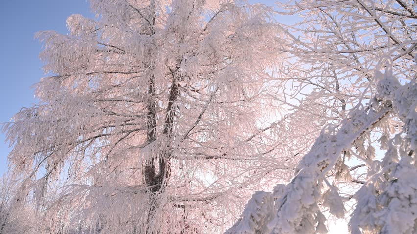 Winter snowy rural landscape, mountainous landscape, snow-covered trees, sunny day