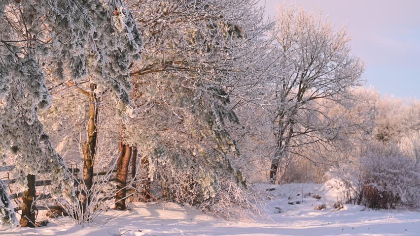 Winter snowy rural landscape, mountainous landscape, snow-covered trees, sunny day