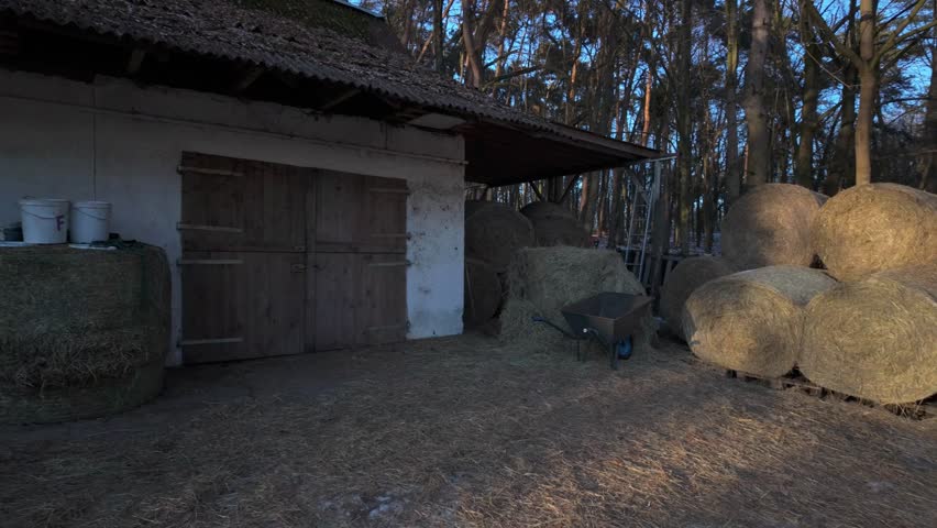 Old barn with hay bales around. Rural scene. Farming. Haystack. Winter mood, dusk. Stable