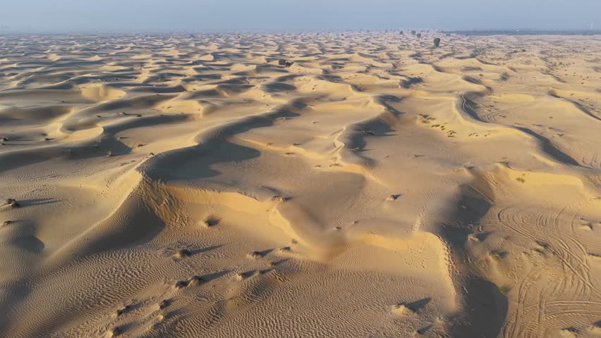 Endless Golden Sand Dunes on the desert Stretching to Horizon Under Clear Skies
