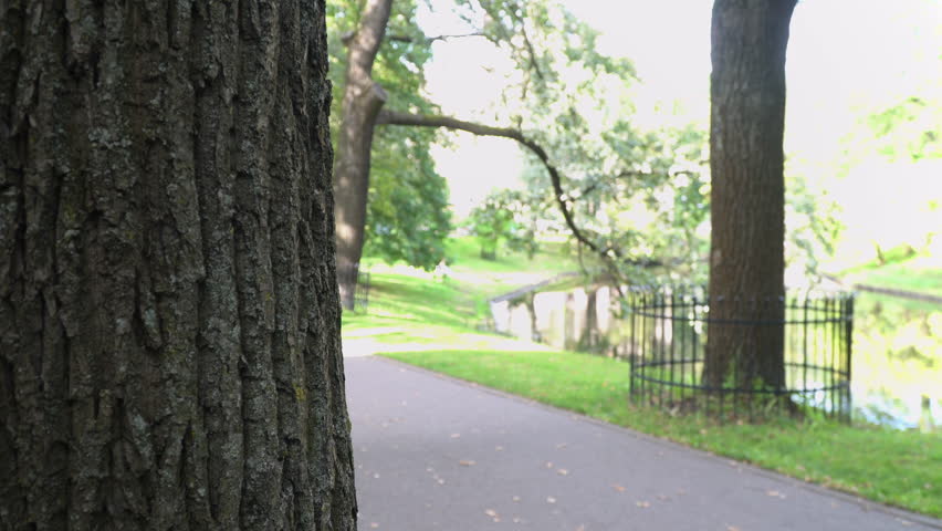 Picturesque view of a park in central district of Riga, Latvia. Blurred background. No recognizable people.