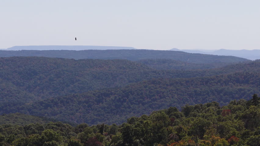 Forested Hills And Devil