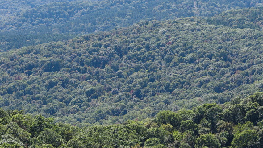 Ozark National Forest And The Historic Devil