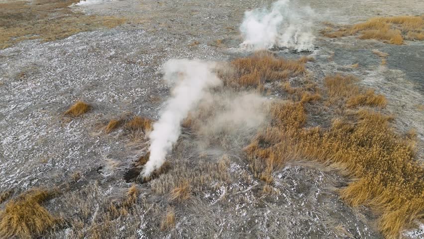 Intense steam plume erupting from a small hole in the dark soil surrounded by dry yellow bushes under a bright and clear sky in a geothermal active valley region