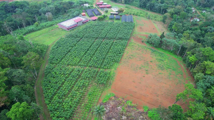 Flying over a vanilla plantation and its greenhouses at Ilha do Principe,São Tomé,Africa.