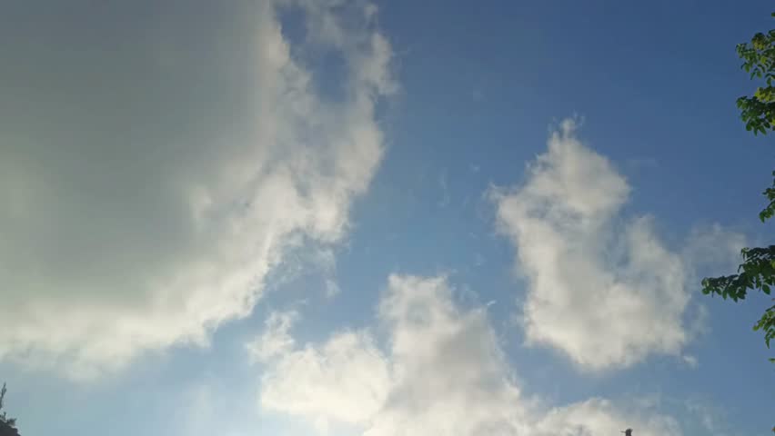 Cloudy sky with flying bird