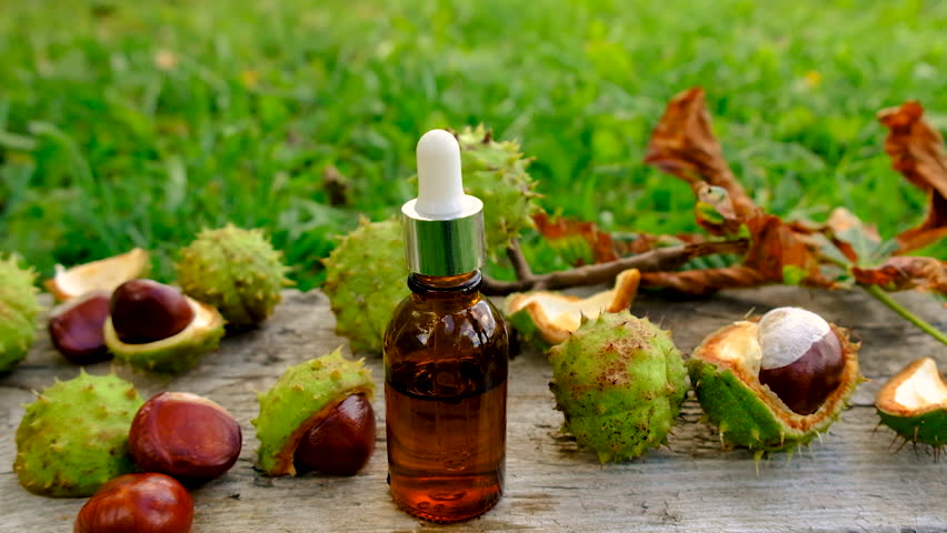Horse chestnut tincture and supplements. Selective focus. Nature.