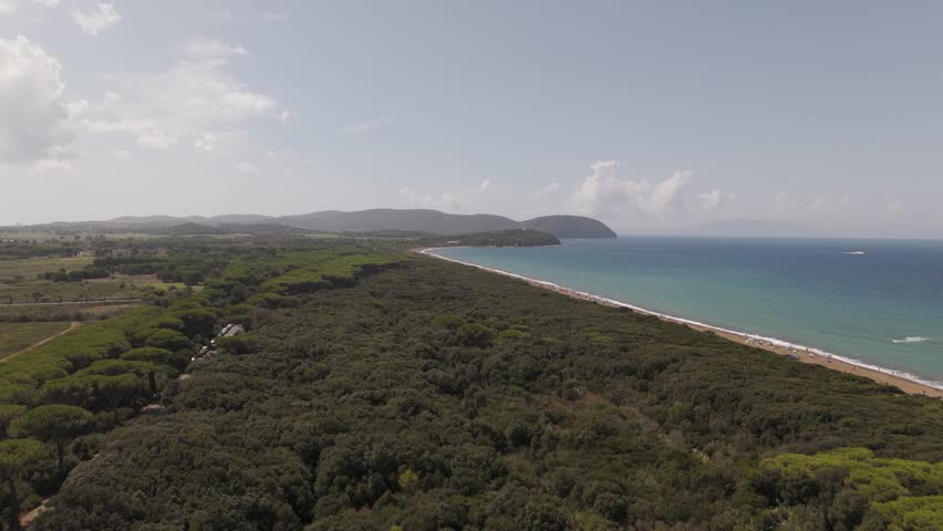 Aerial drone footage of Spiaggia Beach in Tuscany, showcasing a long sandy shoreline, turquoise water, coastal forest, and rolling hills. Ideal for travel, summer, Mediterranean, and nature production