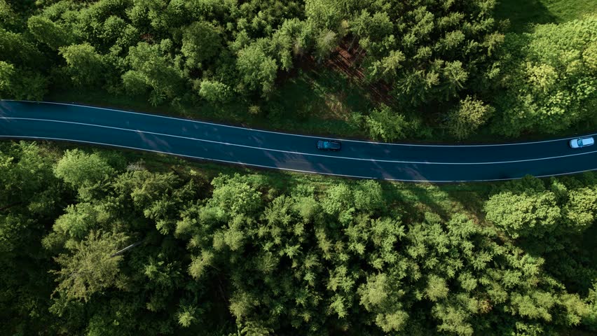 Cars moving along straight road through dense autumn woods aerial perspective with vibrant foliage on both sides. Top down view of cars driving along road among coniferous woodland. Aerial view car