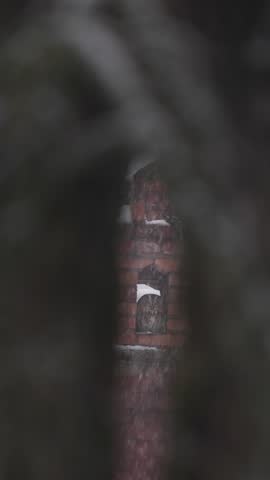 Owl winter snowfall, urban wildlife. Tawny Owls, Strix aluco, sitting in orange brick chimney on the roof. Bird in the town habitat, Białowieża in Poland. Europe wildlife. Animal in the town.