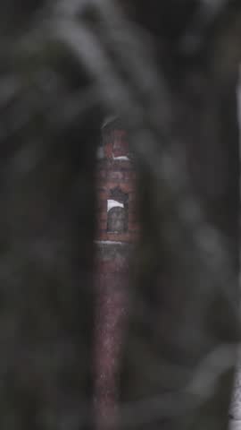 Owl winter snowfall, urban wildlife. Tawny Owls, Strix aluco, sitting in orange brick chimney on the roof. Bird in the town habitat, Białowieża in Poland. Europe wildlife. Animal in the town.