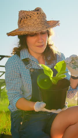 Cultivation Of Plants. A Female Gardener Examines A Sprout Of A Green Plant. Farming Near The House