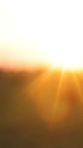 Close-up of the silhouettes of a couple in love holding their hands together and the golden sun gently setting below the horizon. The man and woman have their hands clasped tightly, romantic scene at sunset, slow motion. Couple stands close together deep bond and emotional connection.