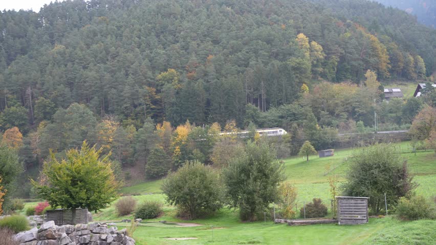 Train Traveling Through the Black Forest Near Gengenbach, Germany, Scenic Landscape with Traditional Houses, Hills and Green Meadows