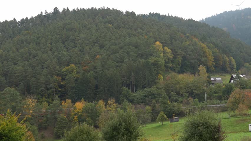 Train Traveling Through the Black Forest Near Gengenbach, Germany, Scenic Landscape with Traditional Houses, Hills and Green Meadows