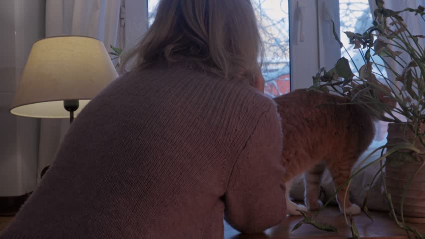Woman in a warm sweater seen from behind standing by the window with a ginger cat. They look outside at snowy branches. Cozy winter interior with warm light. Concept of solitude, comfort, mindfulness and quiet companionship