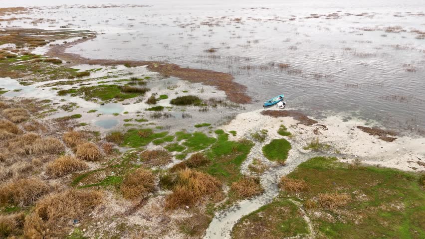 Drone shot of a lonely blue rowing boat anchored at the edge of a shallow wetland area with patches of green aquatic moss and dry reeds scattered across the muddy shore
