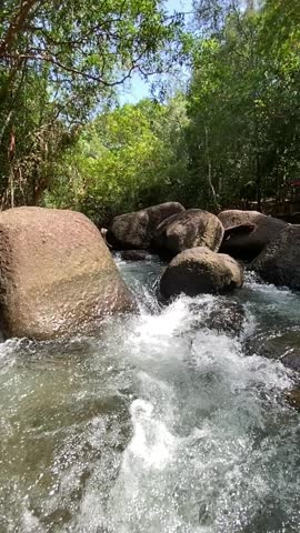 Fresh water on the Forest