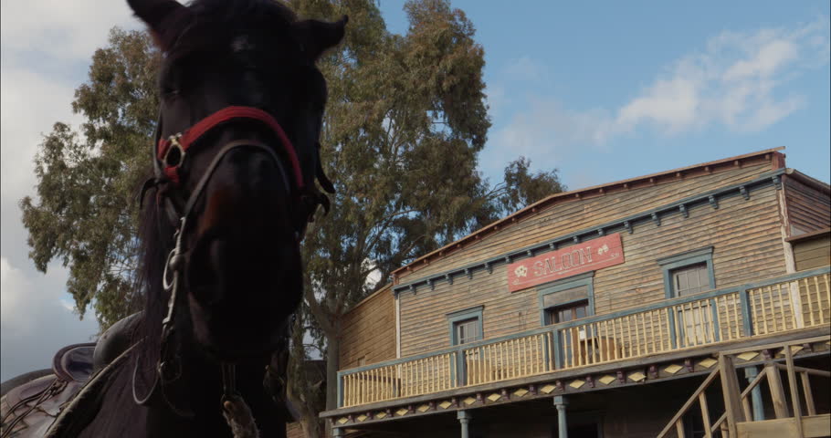 Horse waiting at the doors of an Old West Saloon in the evening
