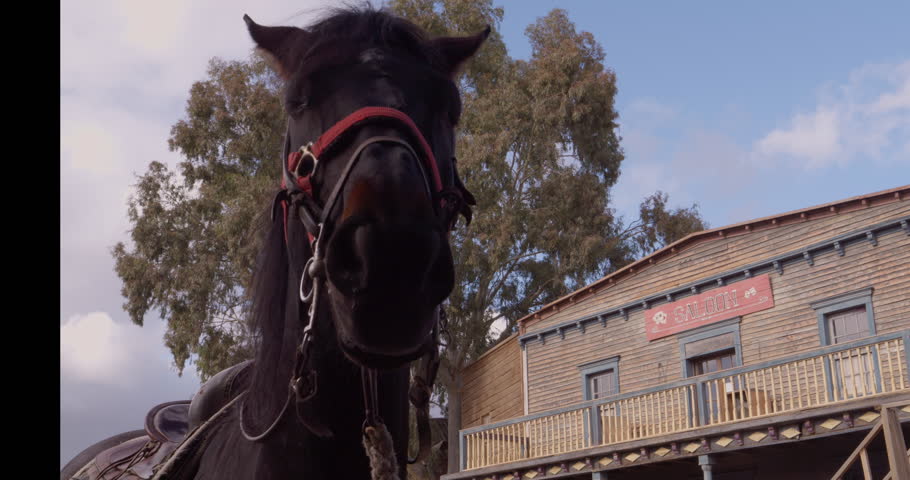 Horse waiting at the doors of an Old West Saloon