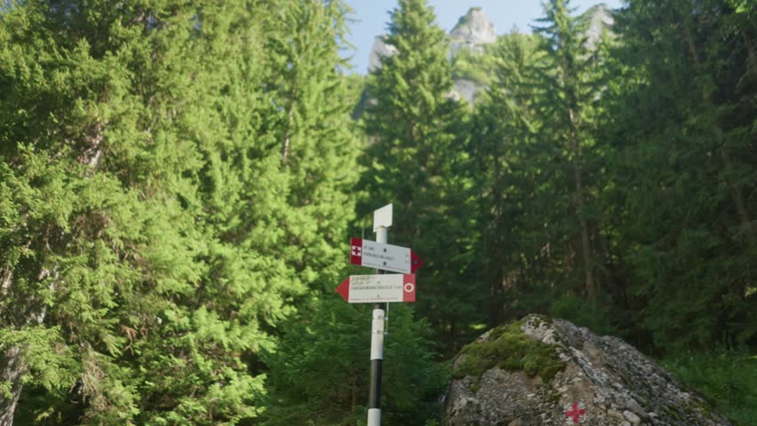 Medium shot of male hiker in yellow jacket with backpack pausing at trail signpost to view distant rocky mountain peaks amid pine forest under blue sky 