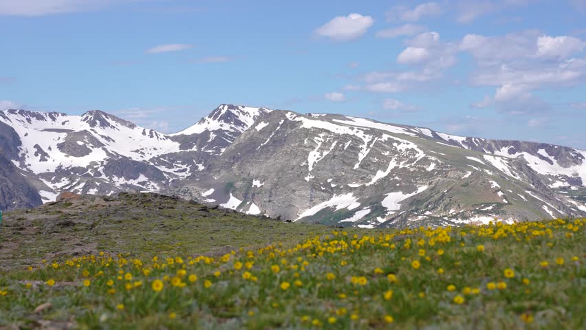 Wide shot of snow-capped mountains in Rocky Mountain National Park, Colorado, with colorful tundra flowers in the foreground
