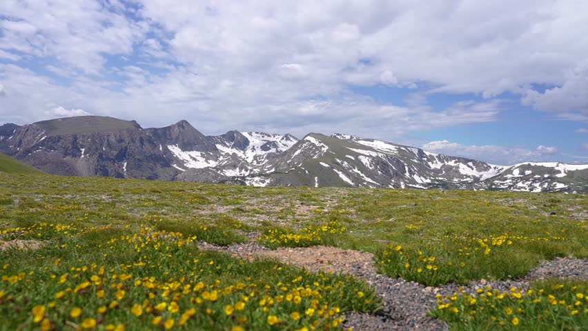 Beautiful scenic view from the top of the Rocky Mountains in Rocky Mountain National Park, Colorado, with small yellow flowers in the foreground