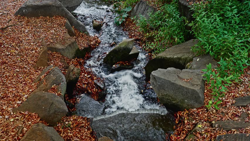 A dynamic nature shot of a mountain creek with white water rapids. Dark, wet rocks are surrounded by a vibrant blanket of fallen brown autumn leaves.
