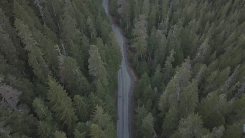 Aerial view following a winding mountain road through dense evergreen forest at sunset, revealing the Northern Cascade Mountains in Washington State