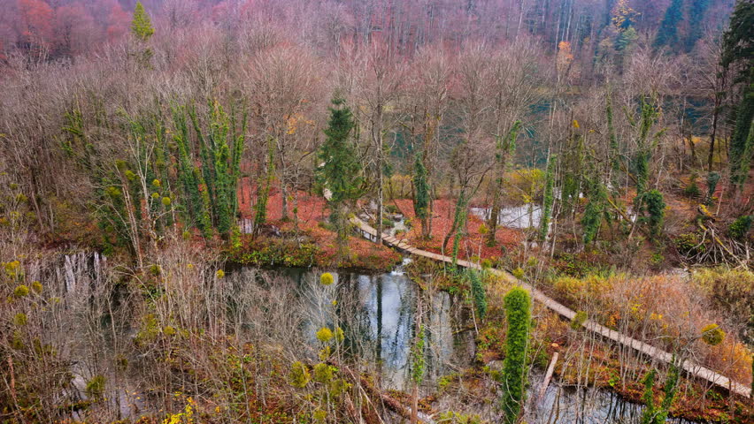 Aerial drone view of wooden pedestrian paths winding across calm lakes and through tall reeds. Plitvice Lakes National Park, Croatia