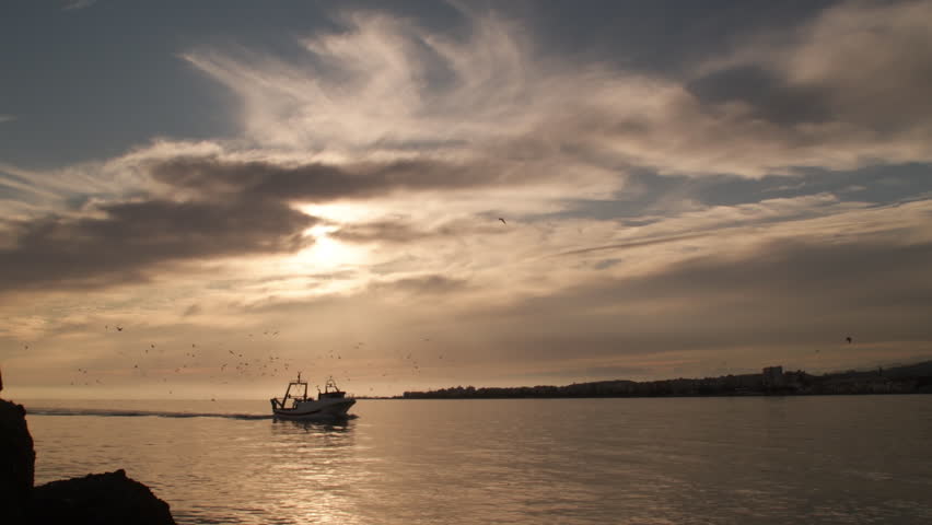 Fisher ship with birds flying around entering to port at sunset
