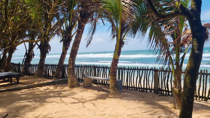 Picturesque sandy area with palm trees and a low wooden fence leading to the Indian Ocean, sunny and windy day, private property, evoking a relaxed holiday atmosphere in Matara, Sri Lanka