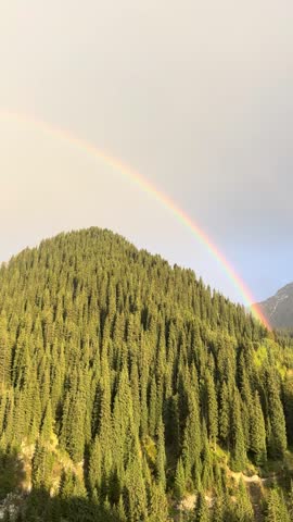 Double rainbow over tree covered mountains at sunset.