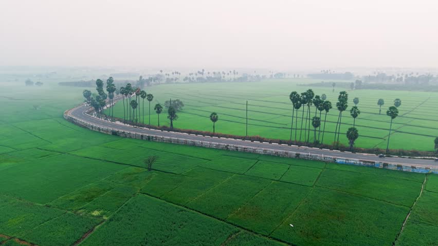Aerial view of a scenic winding road beside a canal through vibrant green rice fields with palm trees, captured in misty morning light, showcasing rural agriculture and peaceful countryside travel.