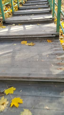 Climbing stairs in the autumn forest.