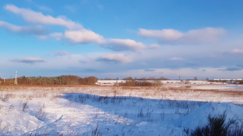 Rural wintertime landscape of snowy agricultural field with snowdrifts and snowbound frozen plants under blue cloudy sky at sunny winter day with strong stormy wind. No people natural background.
