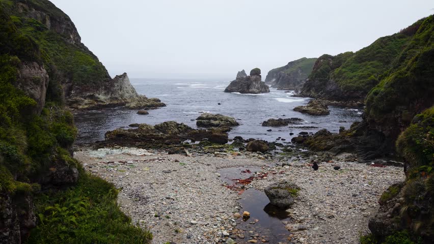 Aerial drone view of a grass-covered sea stack with a sea cave on Chiloé Island, Patagonia’s Pacific coast, Chile. Powerful waves hit a remote sandy beach and rugged green cliffs under an overcast sky