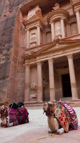 Camel rests before Petra Treasury facade with carved columns in sandstone canyon, vertical handheld pan.