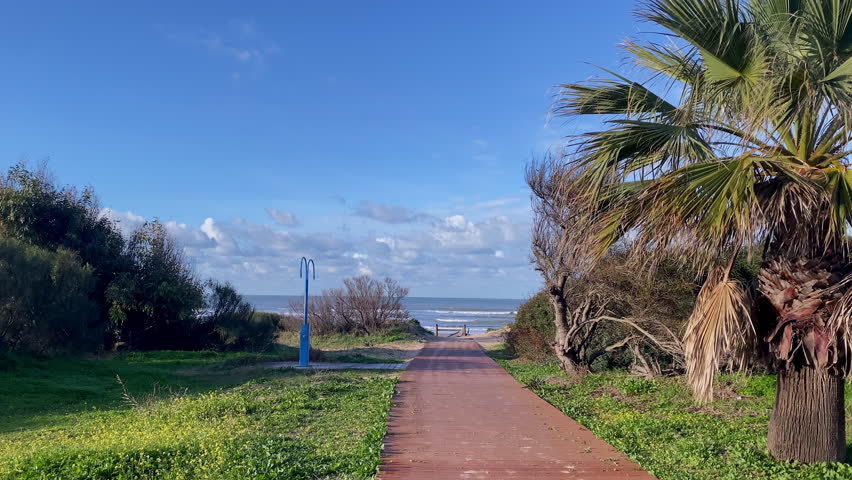 Wooden boardwalk leads through coastal vegetation toward the Atlantic beach under a clear blue sky
