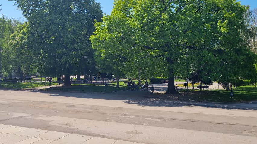 Sunny day in a central Sofia park, Bulgaria, with large leafy oak trees and lush greenery, capturing a peaceful urban retreat and relaxed city atmosphere