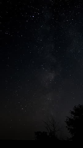 Star trails moving across night sky over forest silhouette, Long exposure time lapse showing celestial motion and rotating light streaks, vertical footage